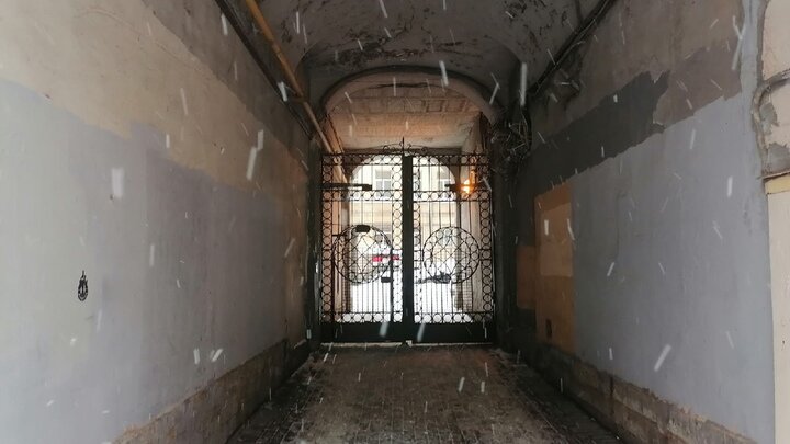 ФОТО: КСЕНИЯ ДУДАРЕВА/ЦАРЬГРАД