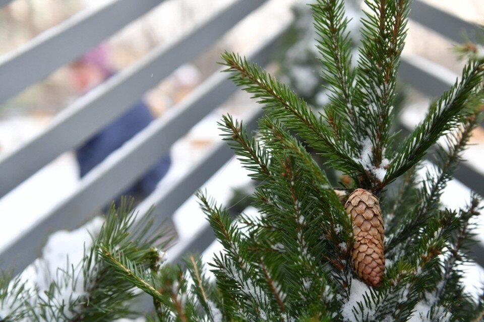     Работать будут не только автолавки, но и крупные базары. Иван Макеев