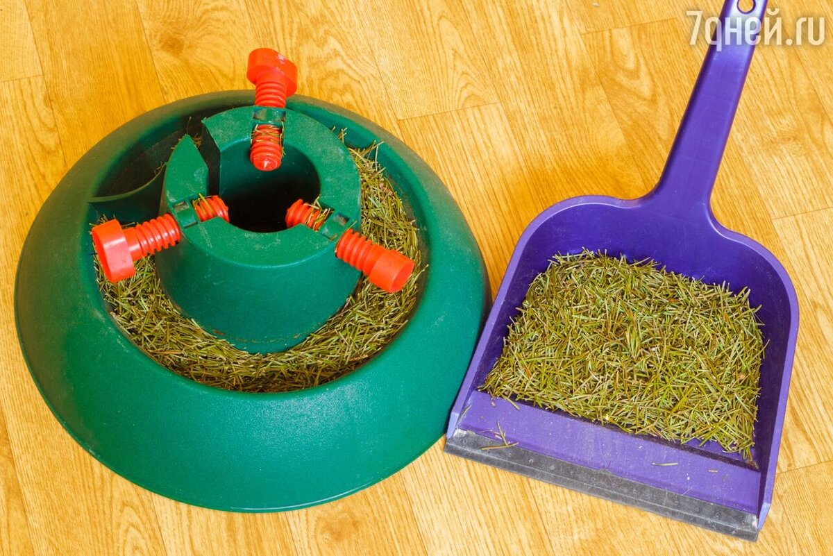     123RF/legion-media.ru