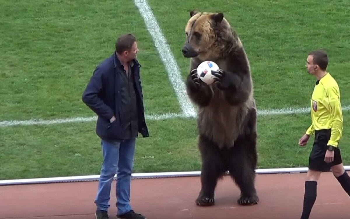 Коротко о том, как западная пресса преподносит образ российского болельщика