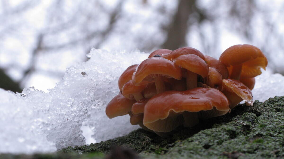 А тут интриги нет - просто красиво (фото пользователя Universal)