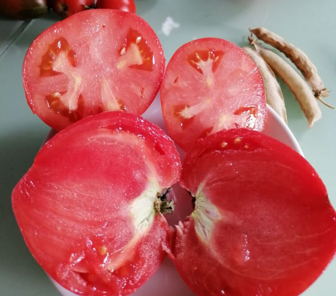 Пудовик в разрезе