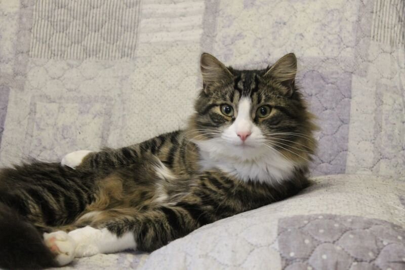 ты ножницы зачем взял? точно меня не будешь стричь? Зару?