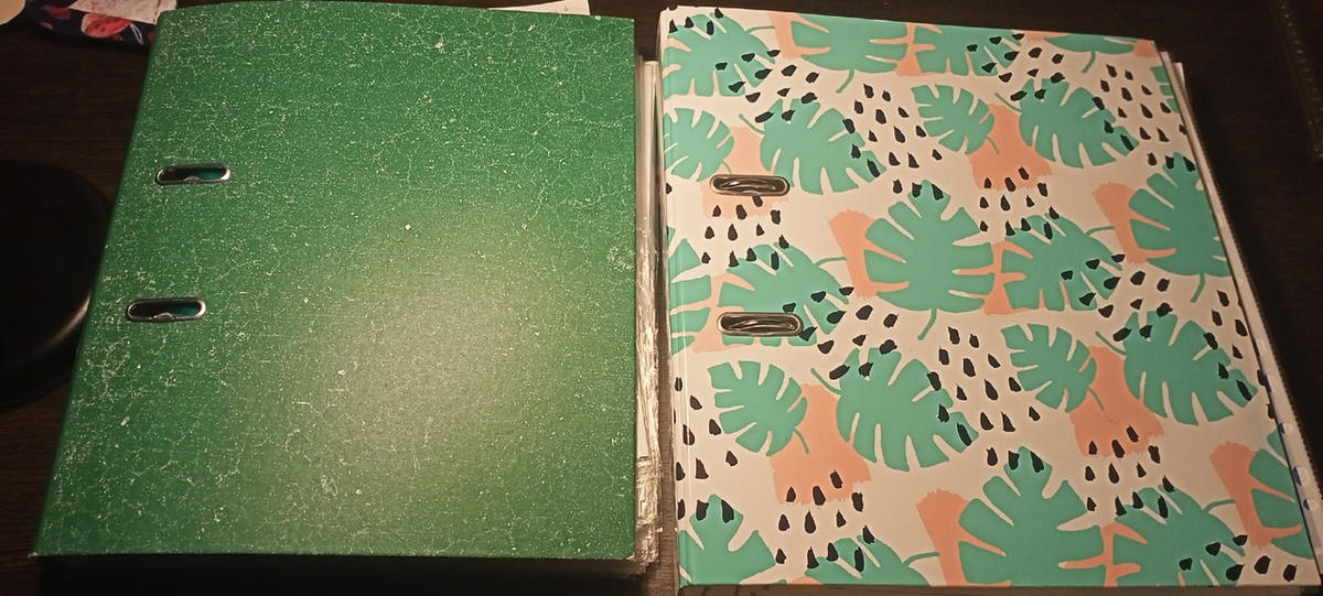 Вот такие были папки