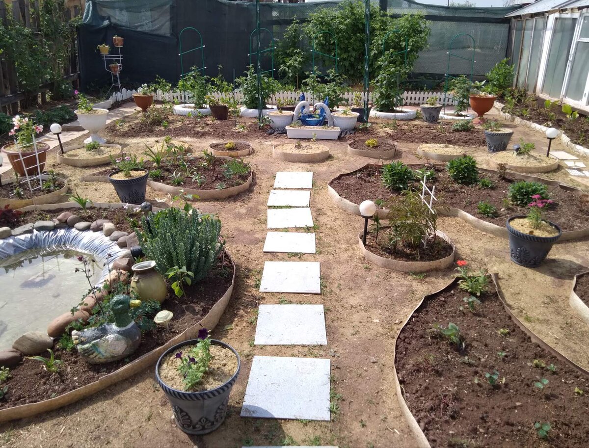 С Середины мая начала высаживать многолетники и однолетники. В круглые клумбы были посажены Пионы. Поставлена Арка и Опоры для Малины в колесах. Расставила горшки и вазоны с петуниями. 