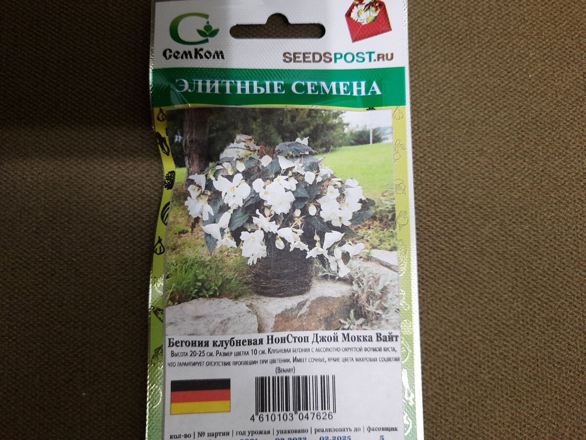 Миниатюрный кустик до 25 см высотой