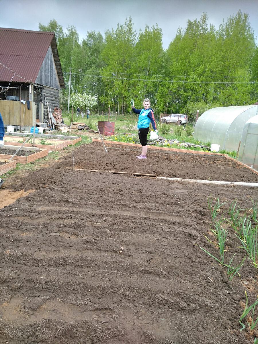 Картофельная плантация) и парники )