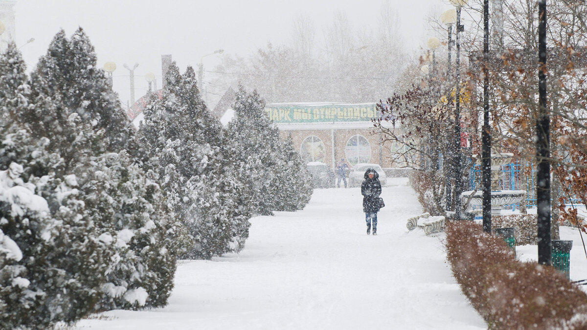    Снегопад в Ростовской области© РИА Новости . Сергей Пивоваров