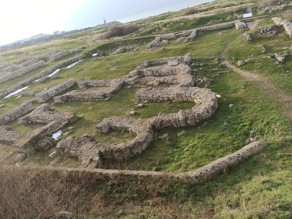 Фото Алексея Паевского, февраль 2021 года