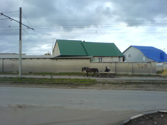     Село. Фото: saratov.mk.ru "МК в Саратове"