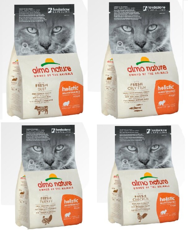 корм пан пес для собак состав. презентация корма для собак. сухой корм для собак педигри 13. корм для собак бинго. корм органикс для собак 18 кг.