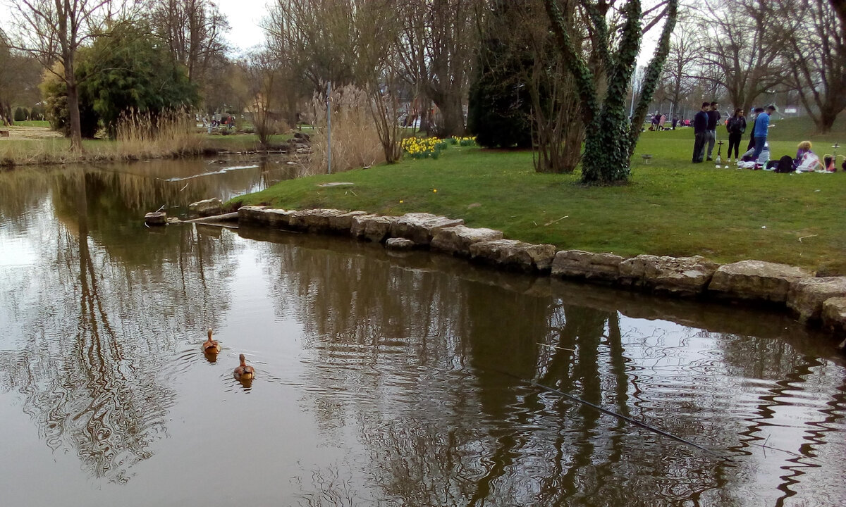 Прогулка к берегу реки