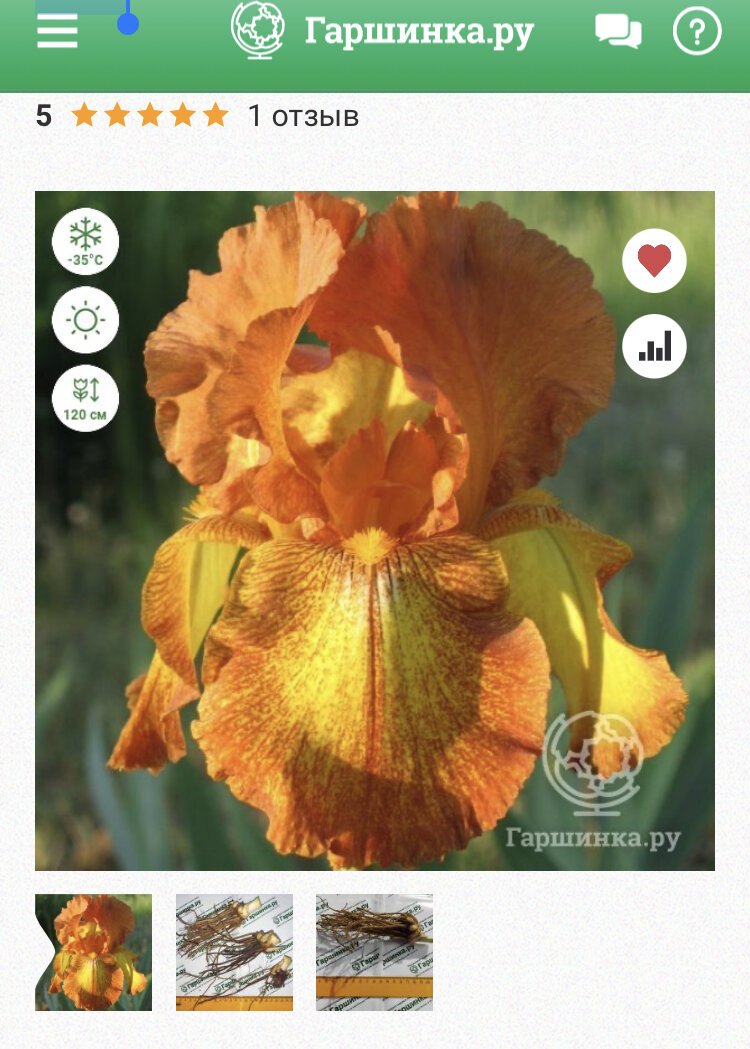 Фото взято с сайта Гаршинка