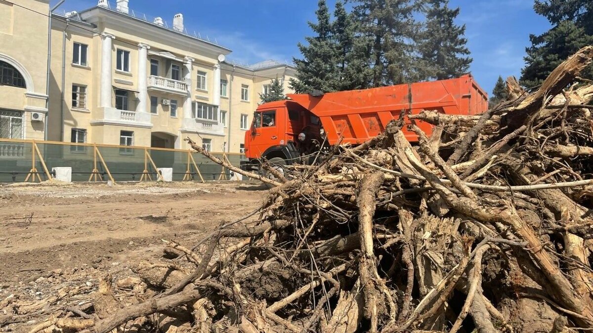 Волжане не остановили вырубку деревьев после иска в облсуд |  НовостиВолгограда.ру | Дзен