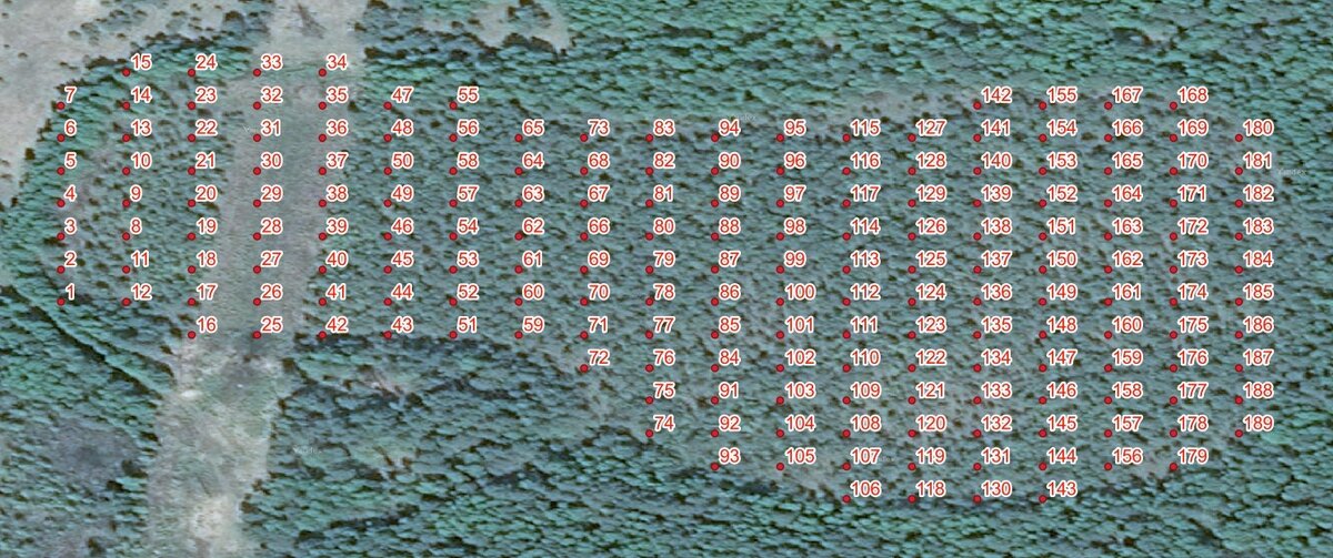 Рисунок 1. Карта точек для промеров болота Алексеевское.