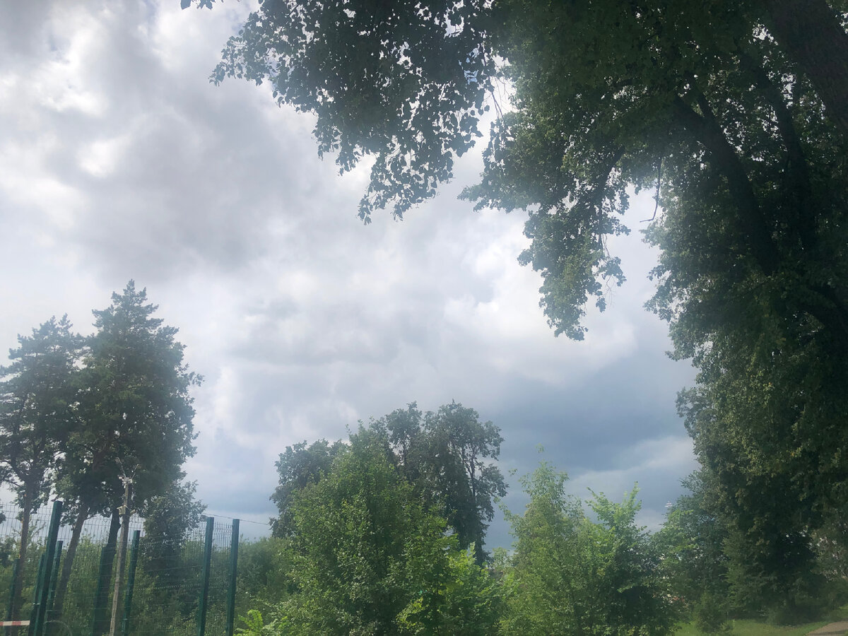 Парк .Дождевые тучи . Фото автора 