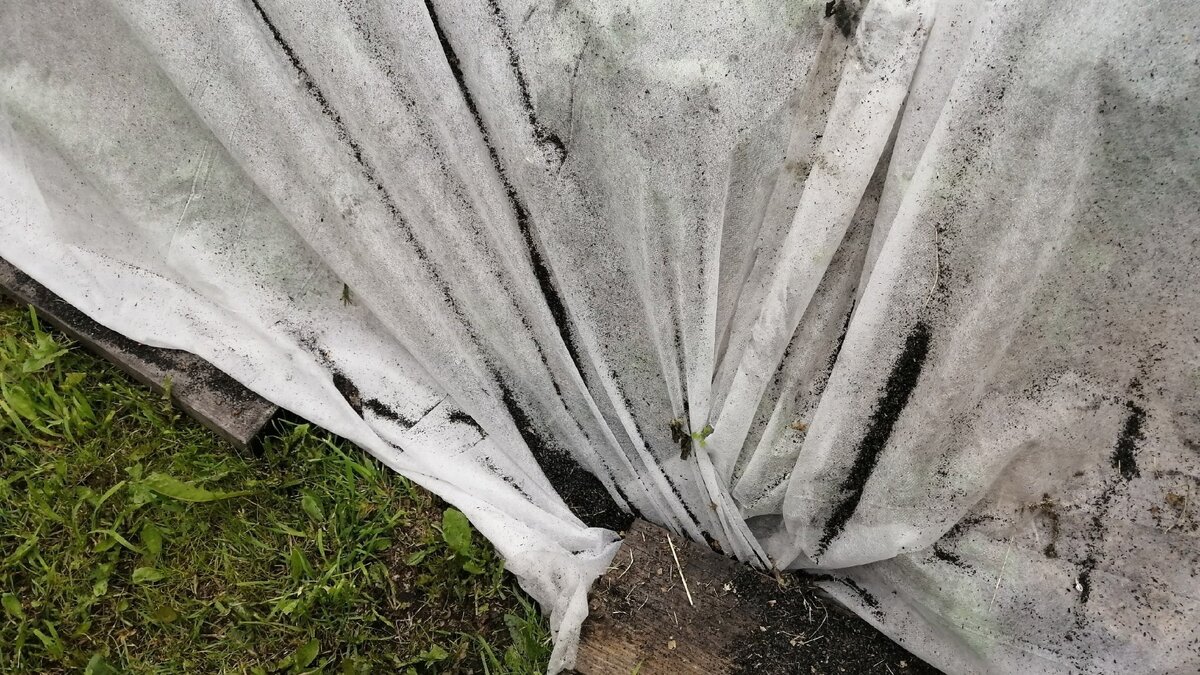     Жители Сегежи жалуются на проникающий везде слой сажи. Об этом горожане сообщили в соцсетях.