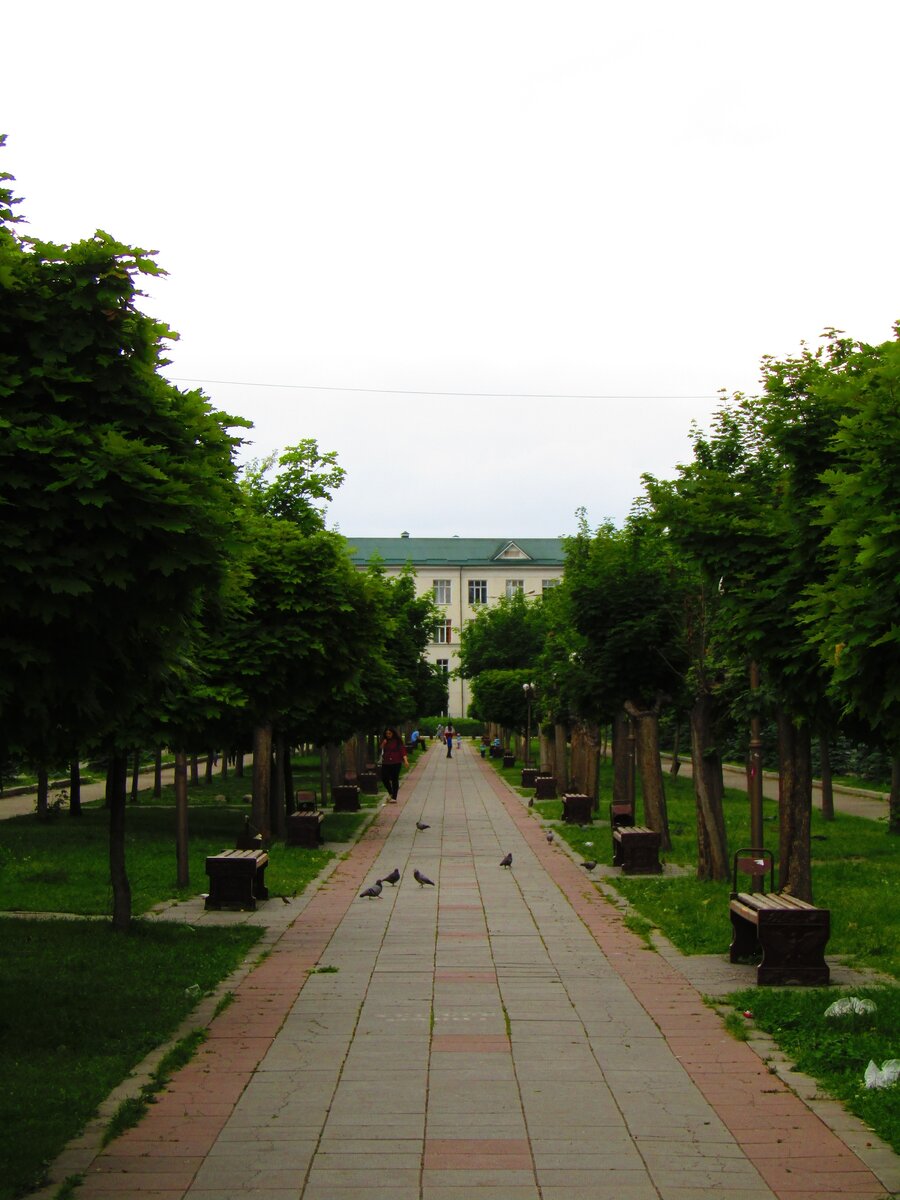 Сквер КБГУ в Нальчике