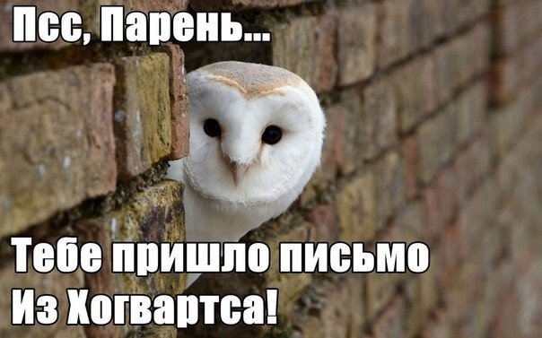 Фото с ресурса kashamalasha.com
