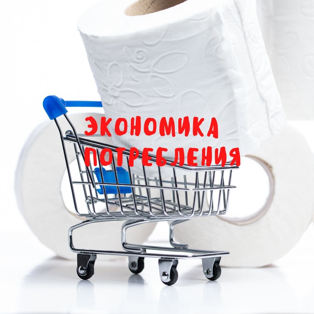 Экономика потребления