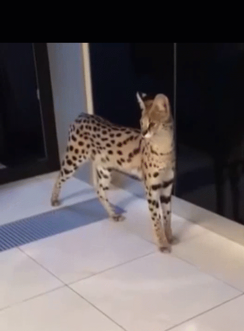 источник:youtube