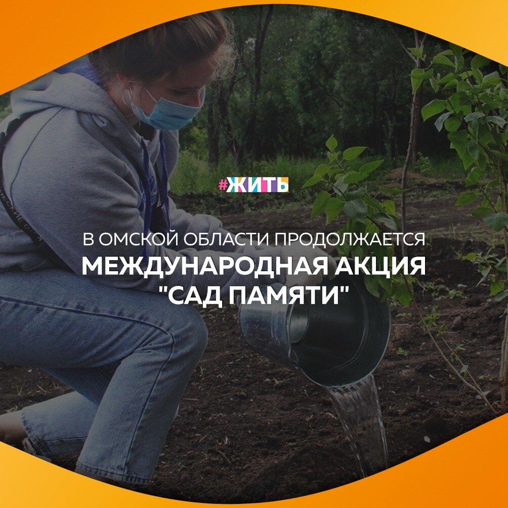 В Омской области проходит акция "Сад Памяти"☝️

В ней приняли участие бойцы Омского областного школьного трудового отряда и волонтеры Победы☺️

Уже было высажено более 62 тысяч деревьев и кустарников. Зеленое пополнение появилось в скверах, парках и городских лесах. Посадки продолжатся осенью☀️

Присоединиться к акции может любой желающий🤗

#жить #проектжить