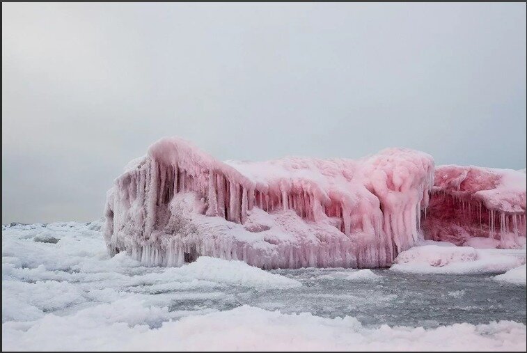 Цветение ледяных водорослей. Завораживающе красиво. 