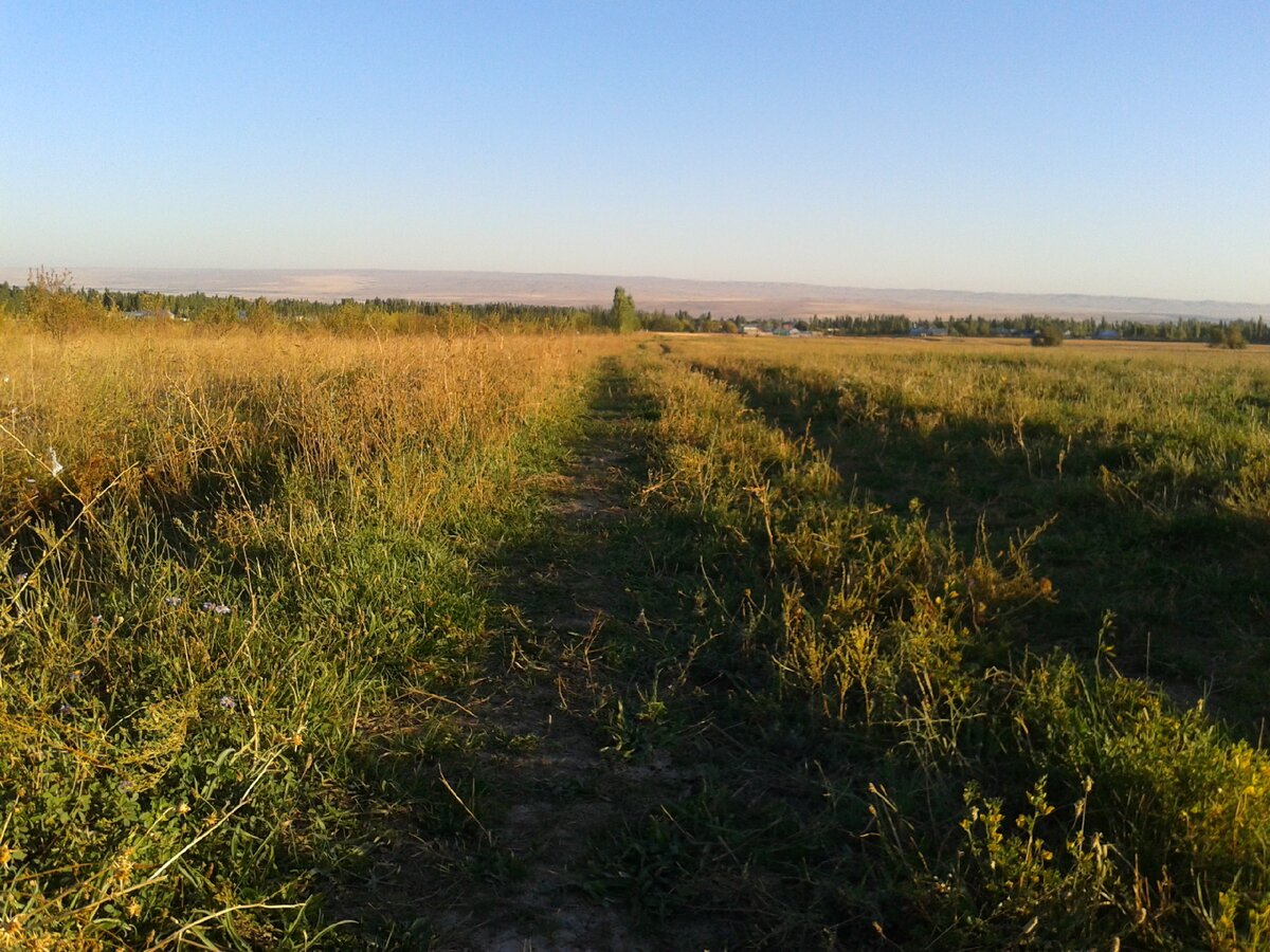 Степи Казахстана. Впереди село Бурное. Жуалынского района.