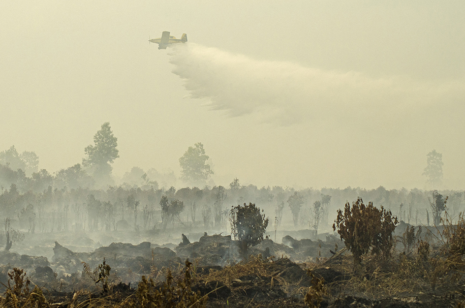 Фото: Afrianto Silalahi/Global Look Press 