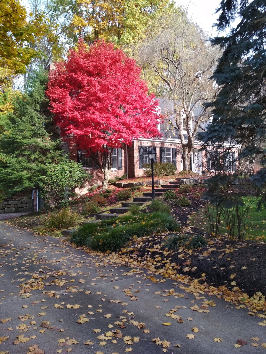 Октябрь в Питтсбурге. Здесь и далее мои фотографии.