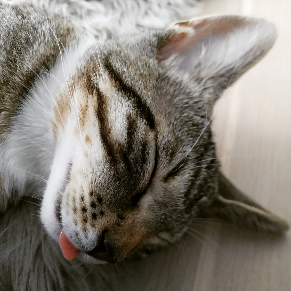 Наша красоточка.