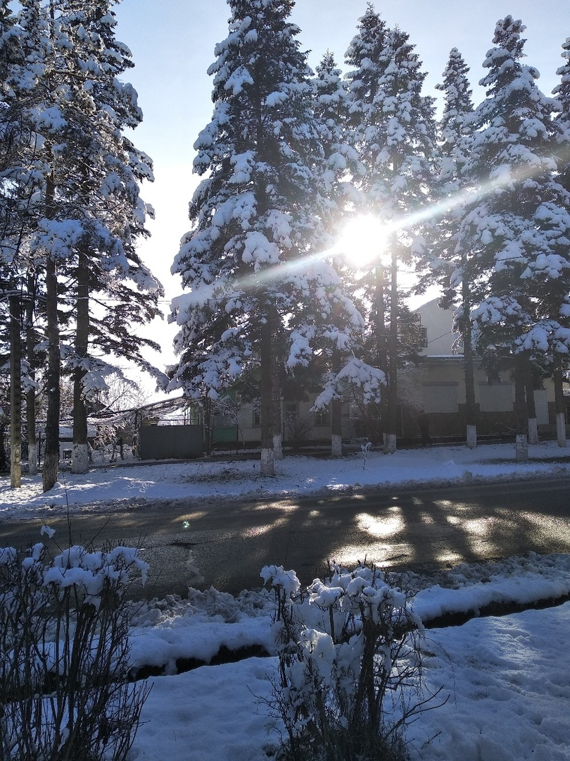 В январе на Рождество выпал снег. Из личного архива