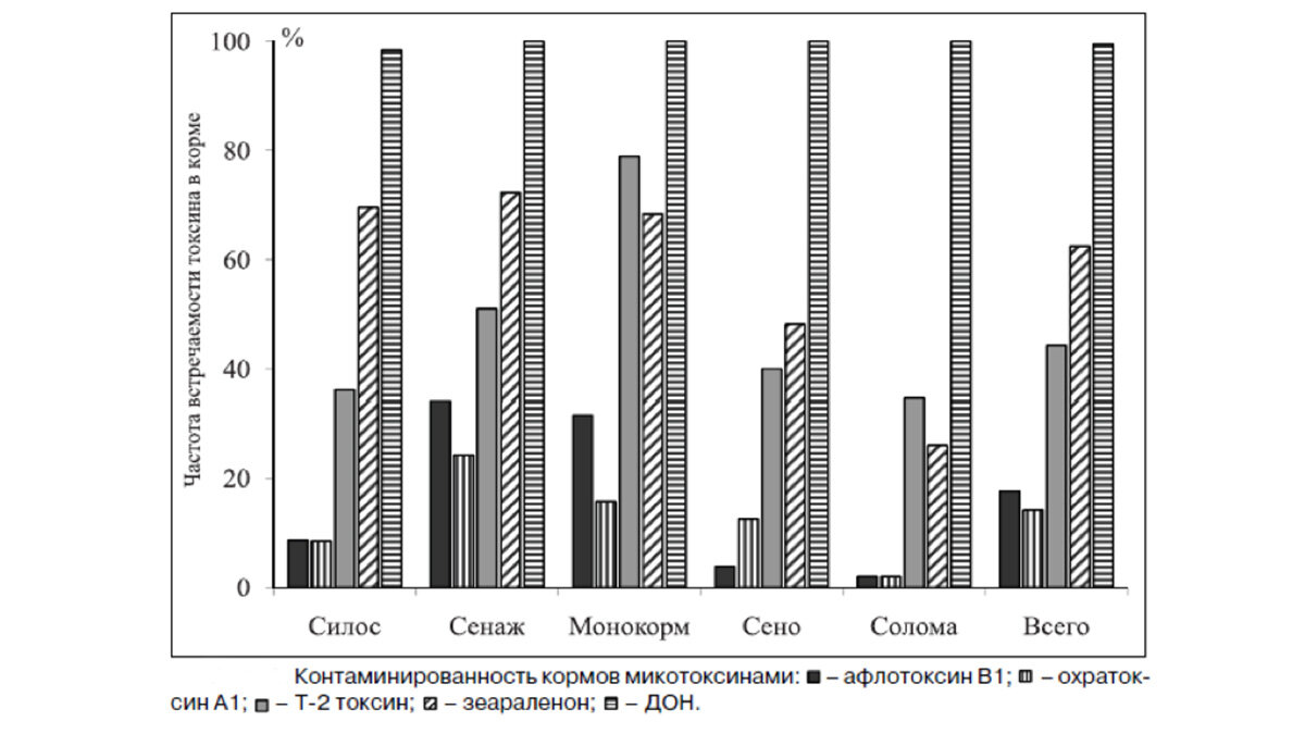 Микотоксины в зерне — мифы и реальность | ГлавАгроном | Дзен