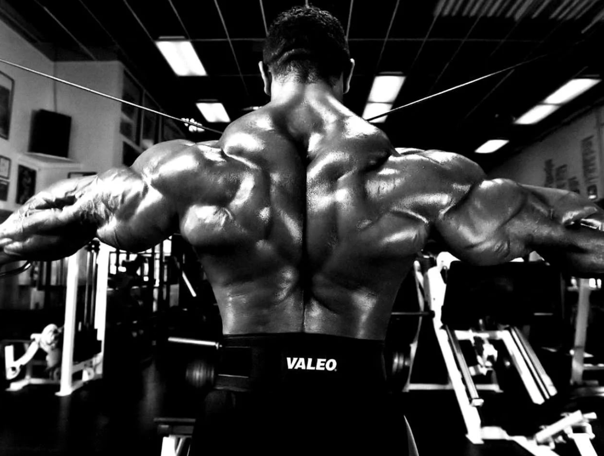 Как стать шире