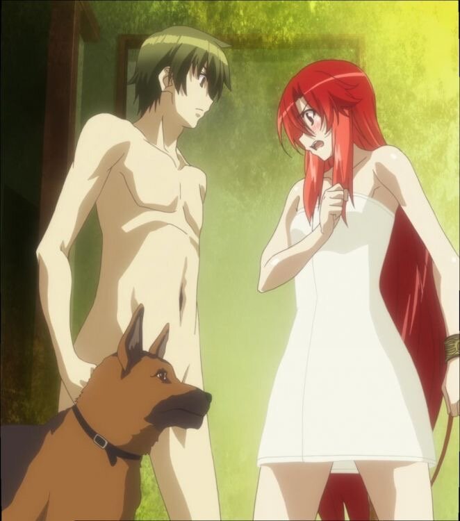 Dakara Boku wa, H ga Dekinai