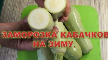 Заморозка кабачков на зиму .