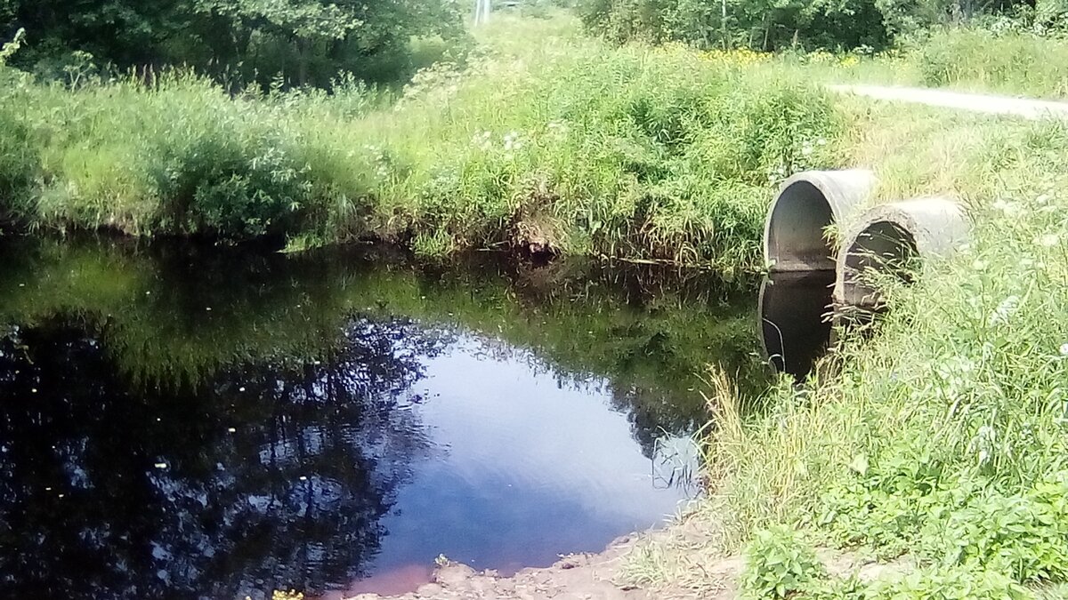 Река Песочная Тверской области