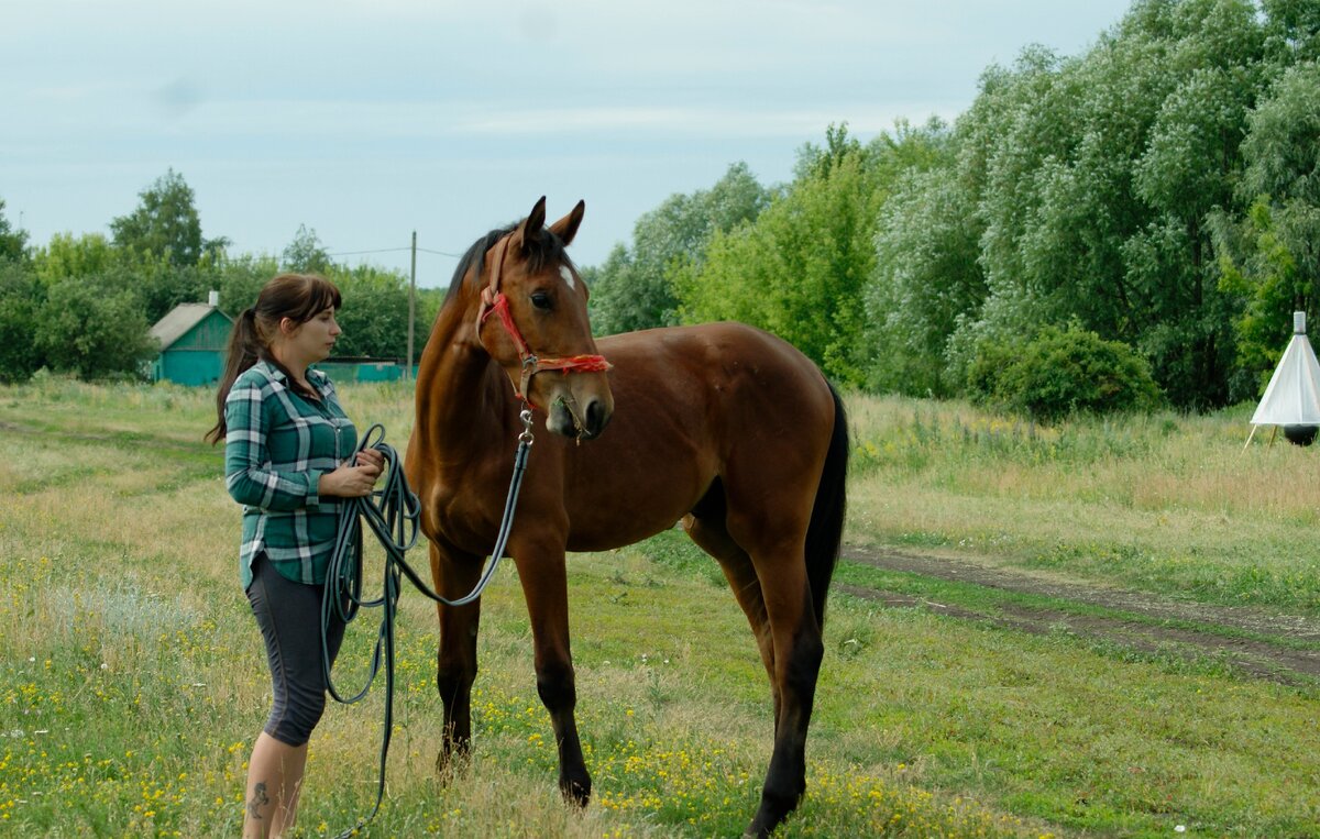 утро после ночного приезда