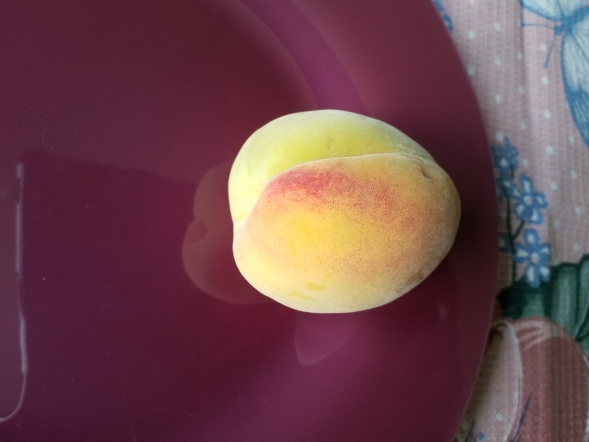 персики в Ленте по акции стоят 99 рублей за килограмм