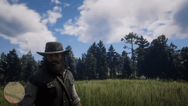 видео сделано в Red Dead Redemption 2