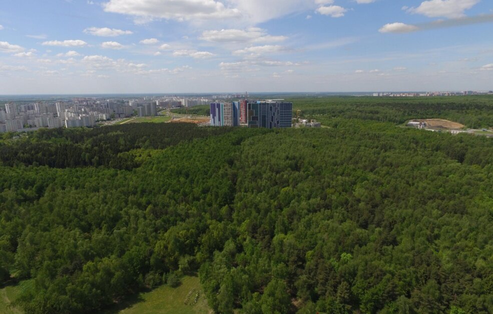 Наш ЖК после завершения строительства первой очереди (сорри за качество, картинка из открытых источников)