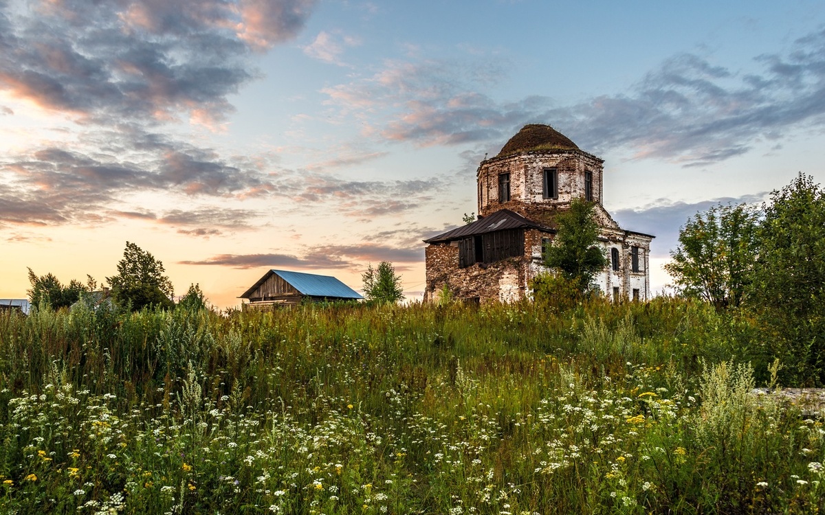 картинка из сети