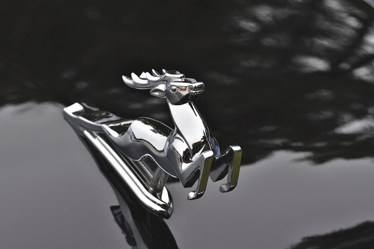 Логотип, известный сотням тысяч автолюбителей, ставший символом советской «премиальности»