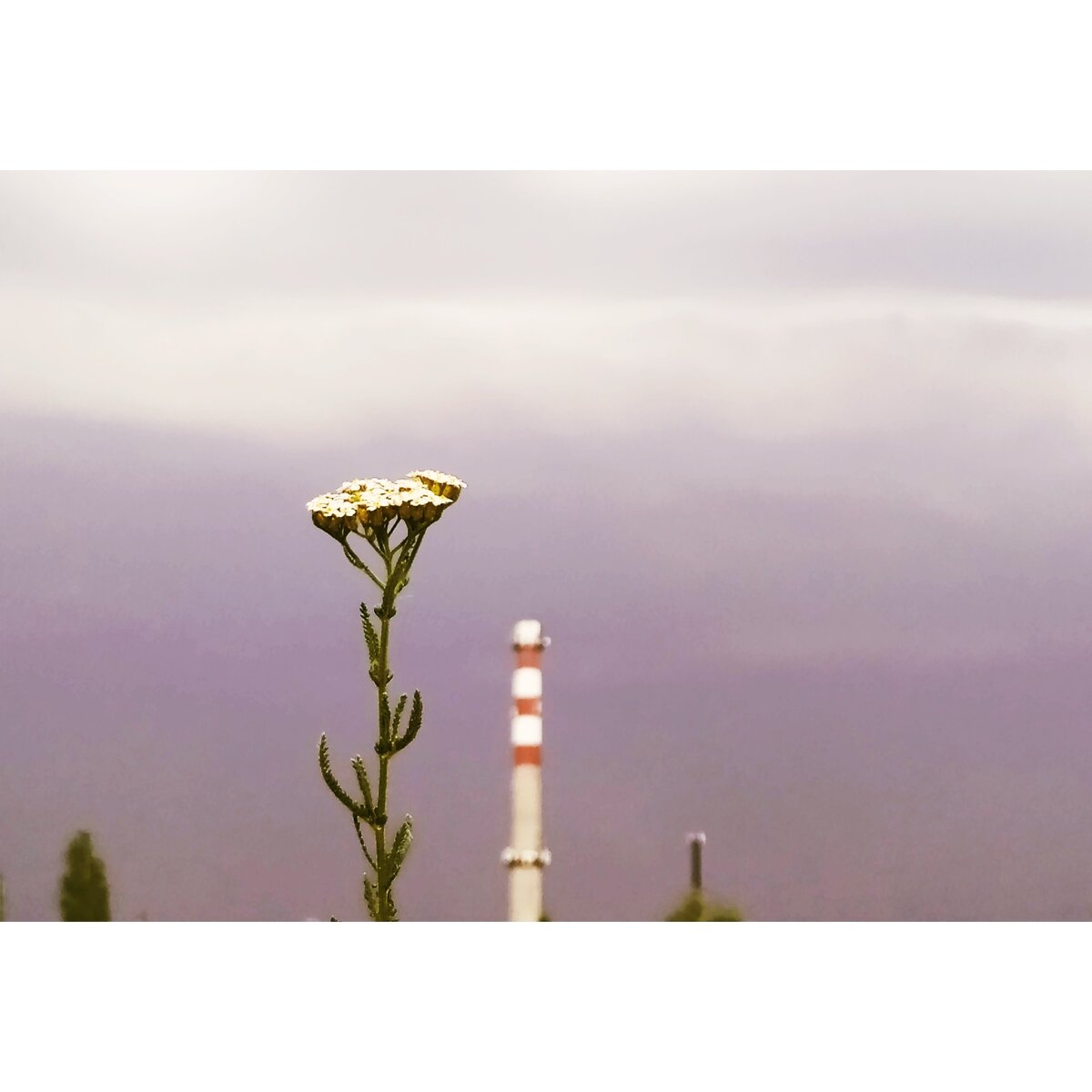 2020г, Энгельс