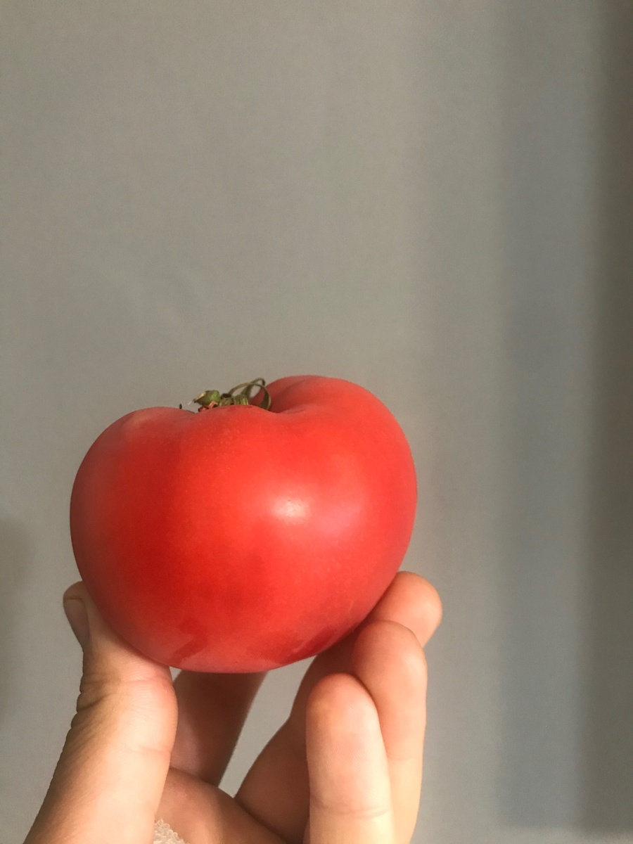 У помидора жиров 0.2 г.