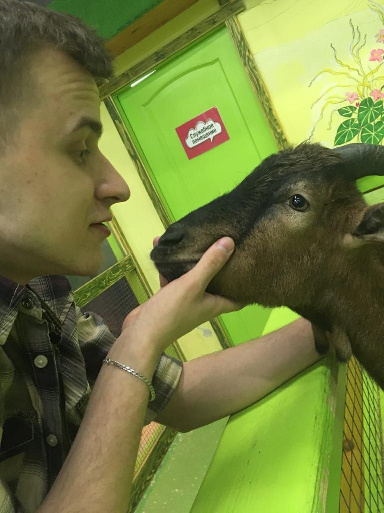Люблю ослов!