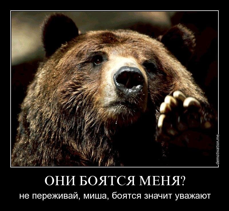 Фото из общедоступной сети Интернет