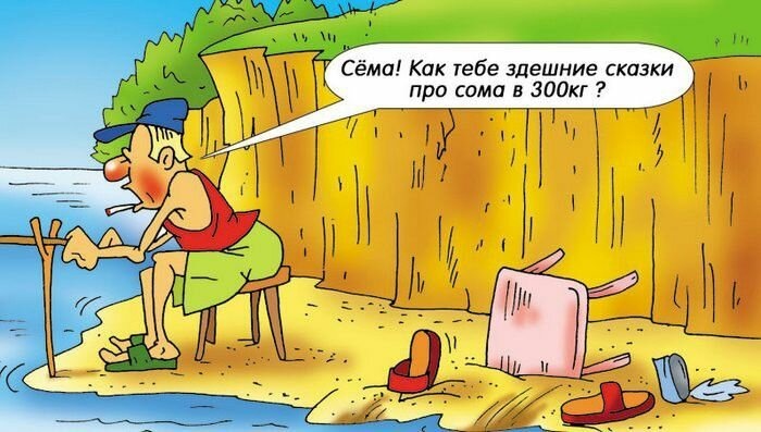 фото из открытых источников