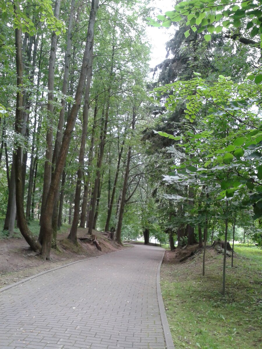 Аллея парка