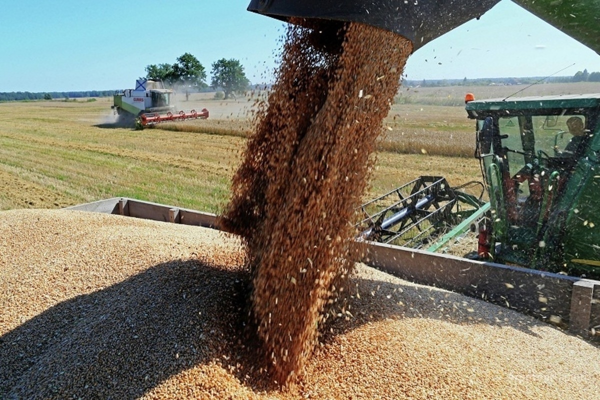 фото: https://belgorod.sm.news/